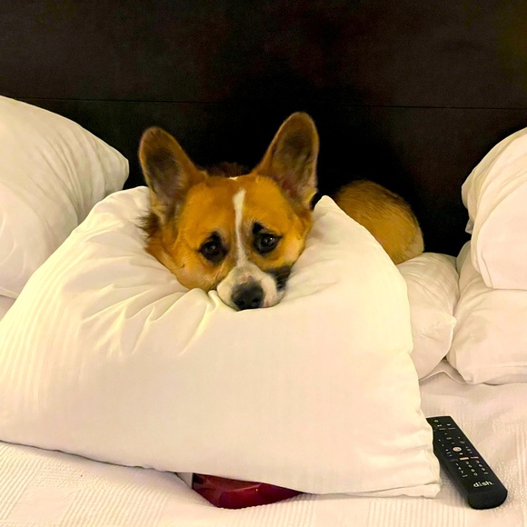 Meet your Posher, Kristy - Picture 2 of 2